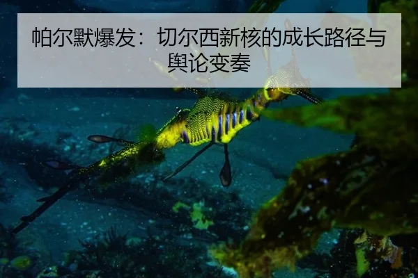 帕尔默爆发：切尔西新核的成长路径与舆论变奏